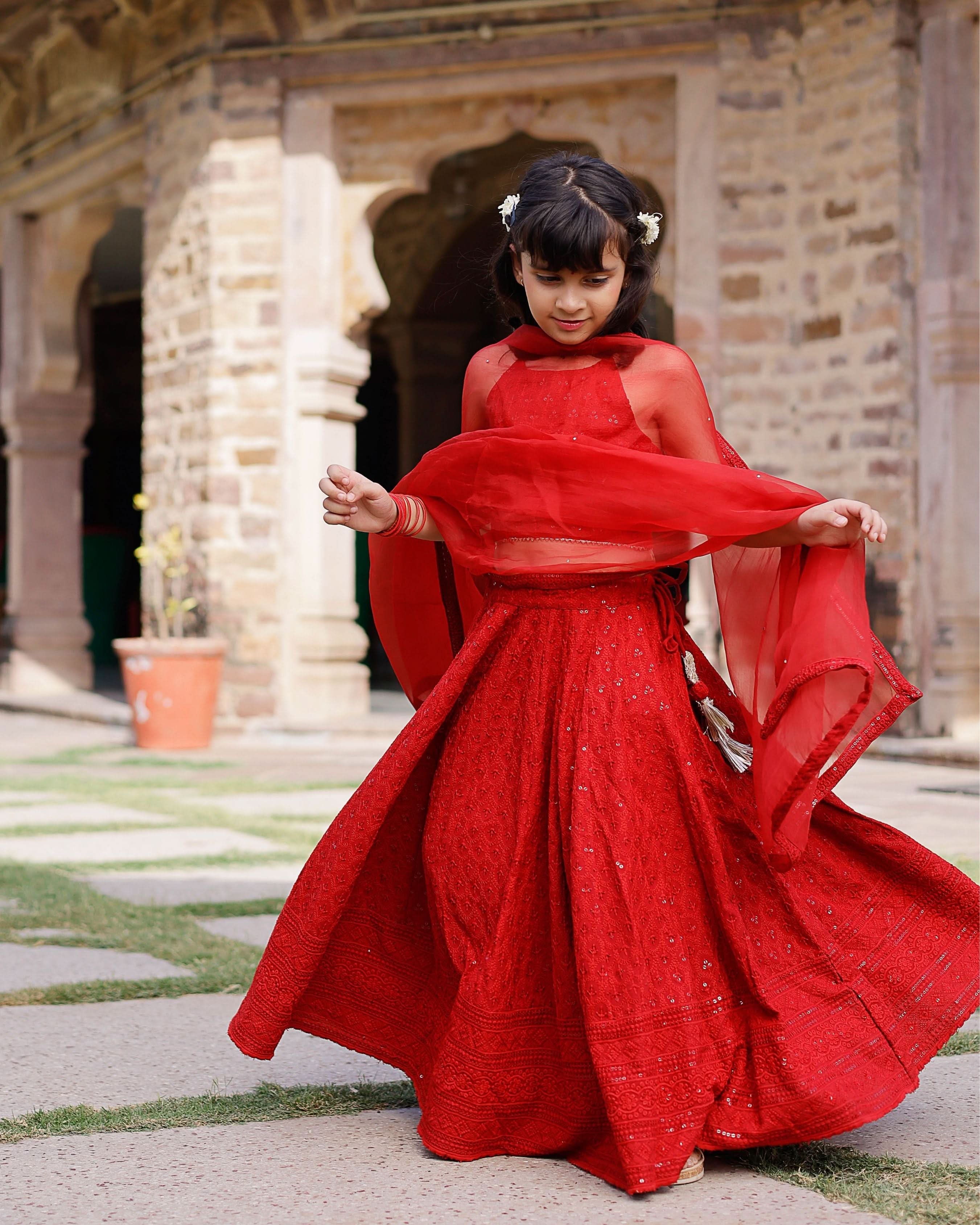 Kai Embroidered Lehenga Set - Image 8