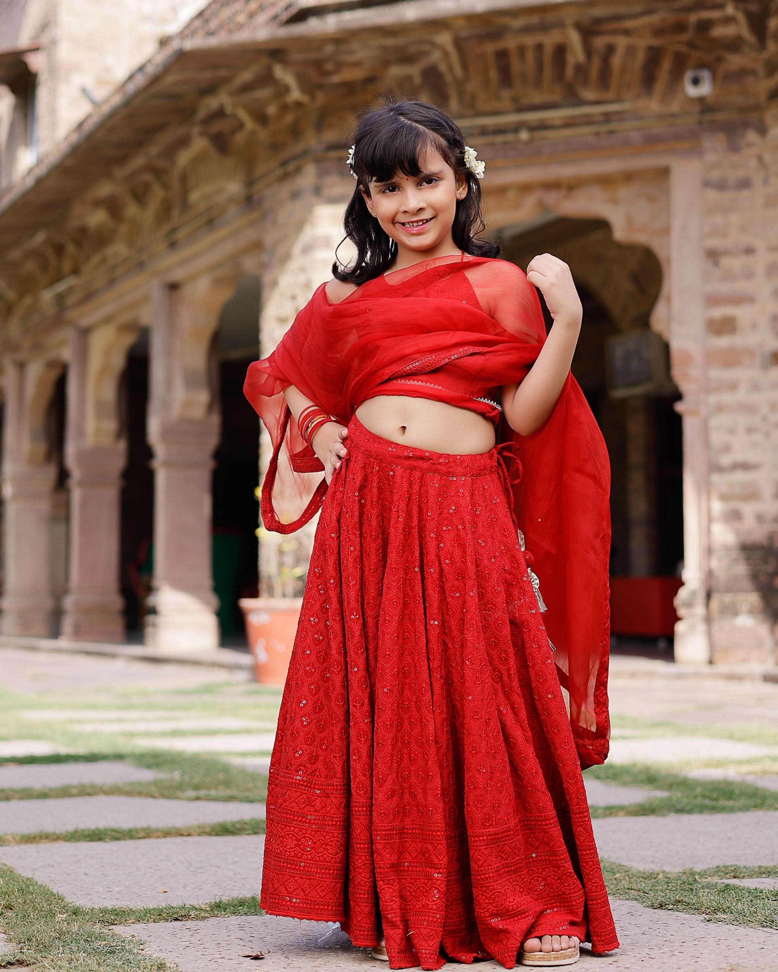 Kai Embroidered Lehenga Set - Image 9